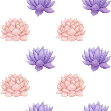 Hand drawn watercolor pink and purple succulent seamless pattern on the white background