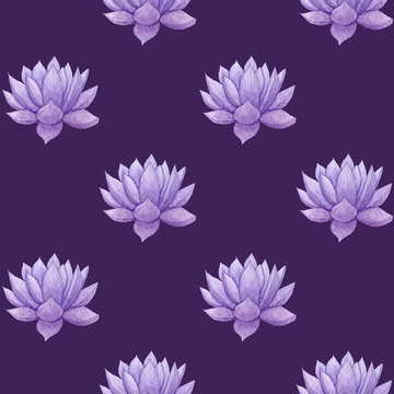 Hand drawn watercolor purple succulent seamless pattern on the violet background