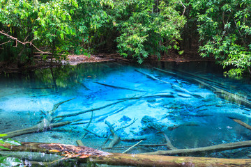 Sa Nam Phut is beautiful spring pool in the forest national park at Krabi province, Thailand