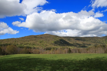 Prairie au printemps dans les Pyrénées audoises, Occitanie dans le sud de la France