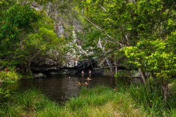 Fototapeta na wymiar Kondalilla Falls, AUS - JAN 21 2017 - People enjoying hot day in rainforest Kondalilla Falls swimming hole, Australia
