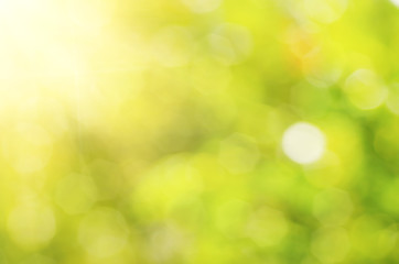 Natural outdoors bokeh background in green and yellow tones with sun rays