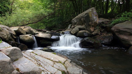 Fototapeta premium Tamrash river, Rhodope mountain, Bulgaria. 