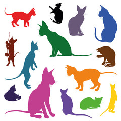 Set of cats silhouettes in different colors