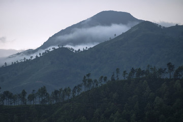 Three layers of mountains in the mist, Ella, Sri Lanka