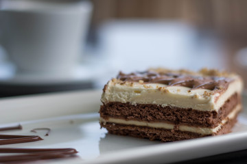 A slice of cake on the white plate on the background of cake