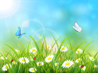 Naklejka premium Blue nature background with sun and butterflies