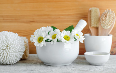 Fototapeta na wymiar White porcelain mortar with flowers of chamomile. Herbal medicine, natural homemade cosmetics and spa concept. 