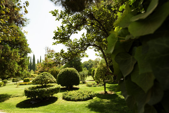 Eram Garden in Shiraz, Iran. Garden has led to its designation as a UNESCO World Heritage Site. 