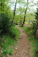 Obraz premium Paysage