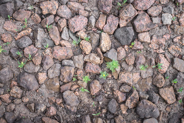 Natural background with grass, gravel texture and stones. Horizontal Frame