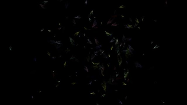 4k Plankton swimming,transparent cells,tiny microbes.
