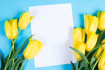 Bouquet of beautiful fresh yellow tulips on blue background and blanc card for text