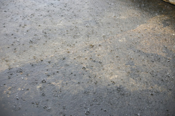 it's raining