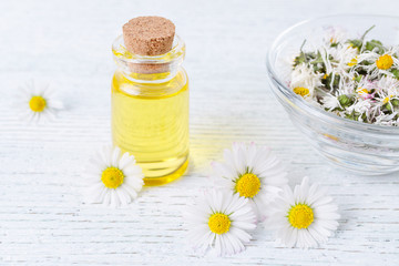 a bottle of chamomile oil with fresh and dried chamomile flowers