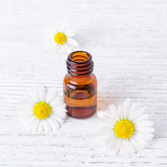 one ml bottle of chamomile oil with fresh and dried chamomile flowers