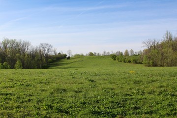 The green grass field landscape .