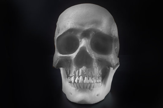 Skull in black background image close up