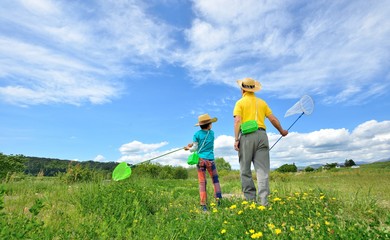 初夏の草原で遊ぶファミリー