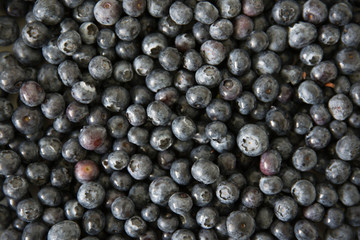 Blaubeeren