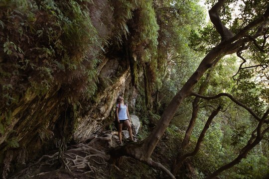 Female Hiker Standing In Forest