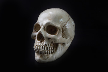 Skull in black background image close up