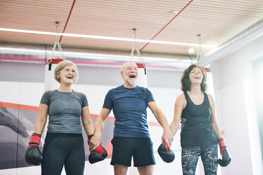 Group of happy seniors working out in gym, boxing