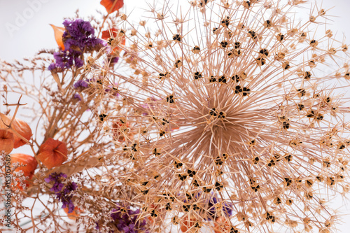Strohblumen Getrocknete Blumen Als Hintergrund Stockfotos Und Strohblumen Getrocknete Blumen Als Hintergrund