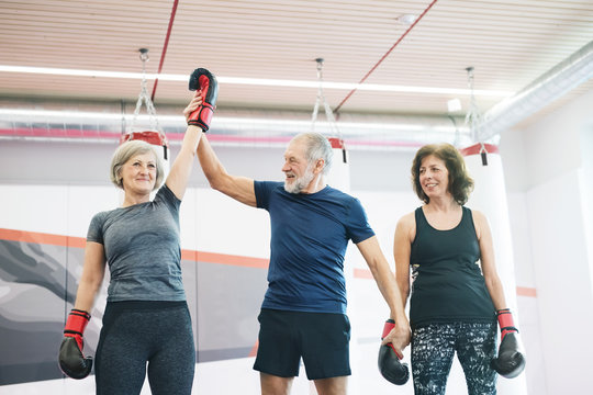 Group of happy seniors working out in gym, boxing
