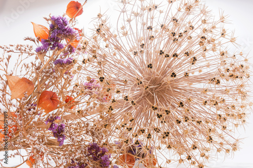 Strohblumen Getrocknete Blumen Als Hintergrund Stockfotos Und Strohblumen Getrocknete Blumen Als Hintergrund