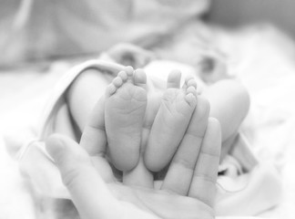 Infant heels in  mother's and fathers hands
