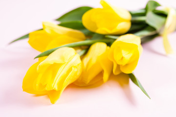 Obraz premium Bouquet of beautiful fresh yellow tulips on pink background