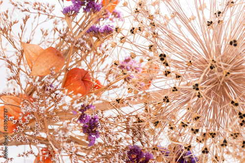 Strohblumen Getrocknete Blumen Als Hintergrund Stockfotos Und Strohblumen Getrocknete Blumen Als Hintergrund Stockfotos Und Lizenzfreie Bilder Auf Fotolia Bild 153057989