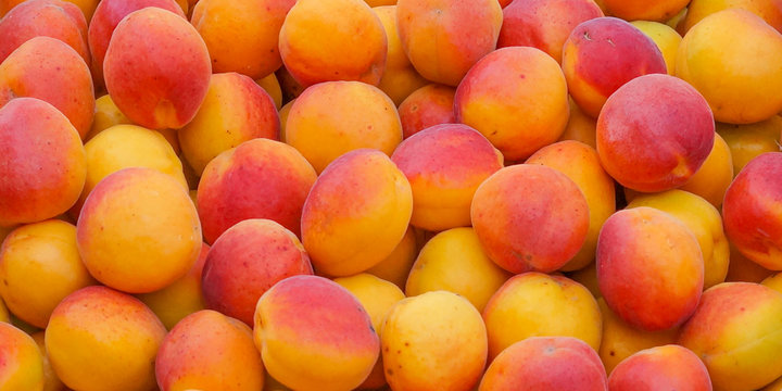 Ripe,sweet apricots.