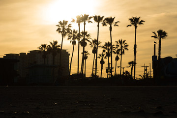 Iconic LA beach scene