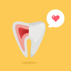 Tooth vector illustration