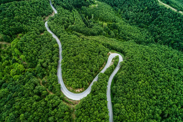 Aerial view of a provincial road passing through a forest ιn Chalkidiki, northern Greece