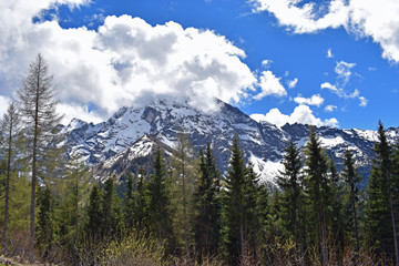 Obraz premium Mountain view from Rossfeldstrasse panorama road on German Alps near Berchtesgaden, Bavaria, Germany