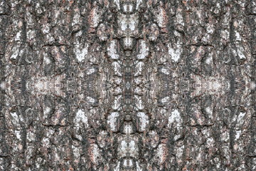 tree bark texture pattern. wood rind for background