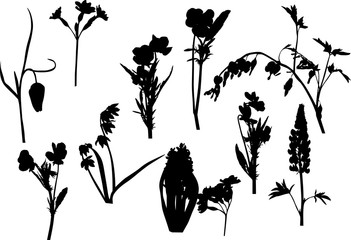 eleven garden flowers silhouettes isolated on white
