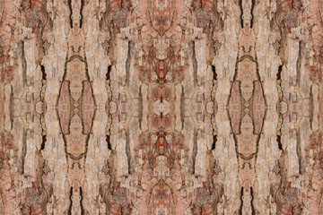 Obraz premium tree bark texture pattern. wood rind for background