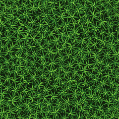 бесшовная текстура свежей зеленой травы, растущей кустиками
