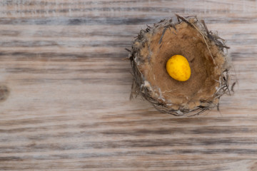 Bird nest with one golden speckled egg on timber background