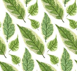 Vector seamless background with leaves. Realistic pattern with green foliage. Botanic texture. Great nature design. Leaf fall. Decorative elegant illustration. Decorative illustration with branches.