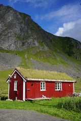 Fototapeta na wymiar Traditional Norwegian house with a sod roof covered with turf grass