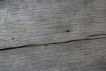 wood texture