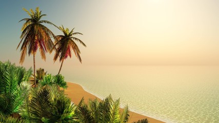 Tropical palm beach, sunset over the sea shore, 3d rendering

