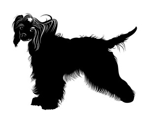Chinese Crested dog. dogs. Chinese crested breed,black and white vector picture isolated on white background