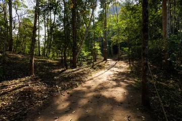 Foto op Plexiglas Forest in mountain Soppong village © sitriel