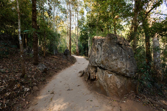 Forest in mountain Soppong village